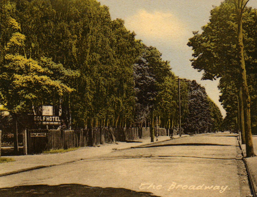 From the Collection & Archive