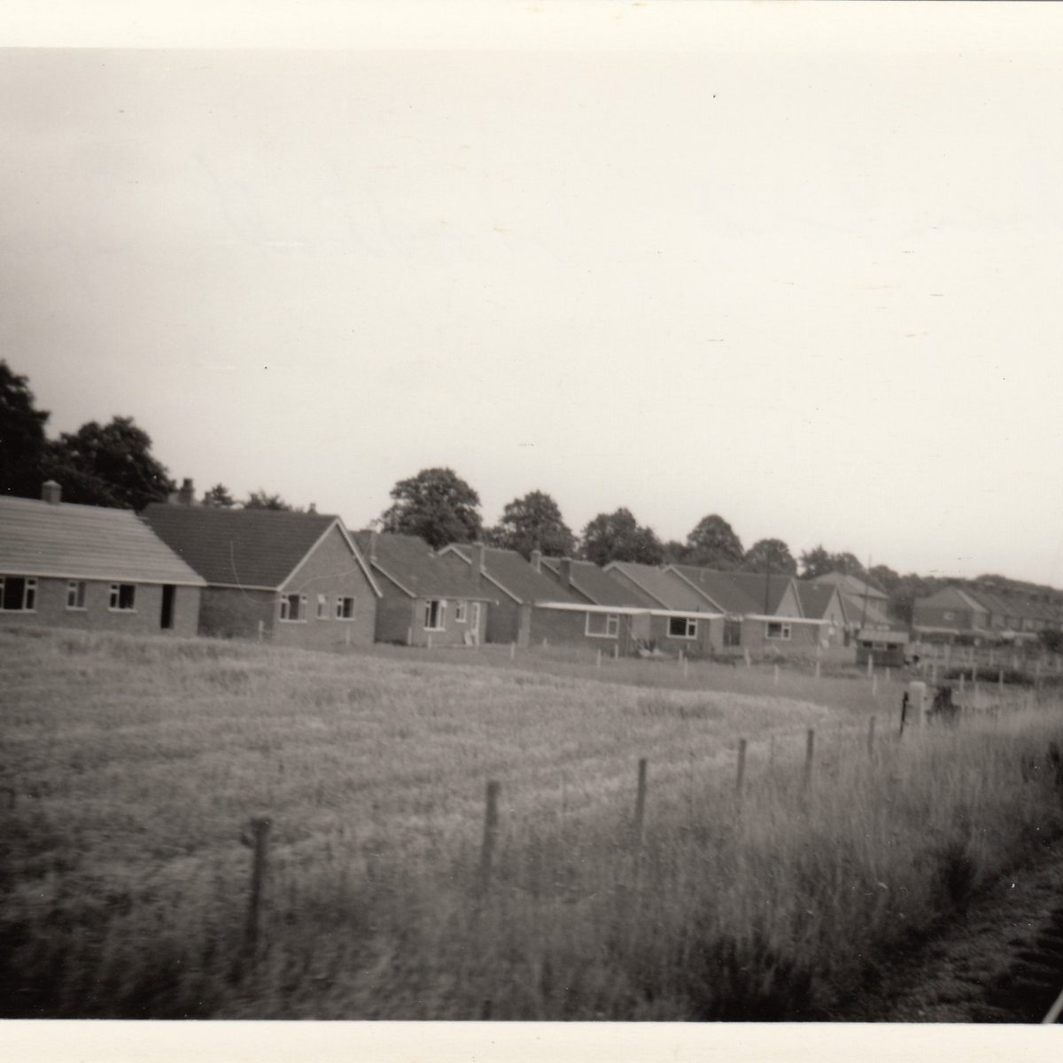 From the Collection & Archive, A train ride through Woodhall